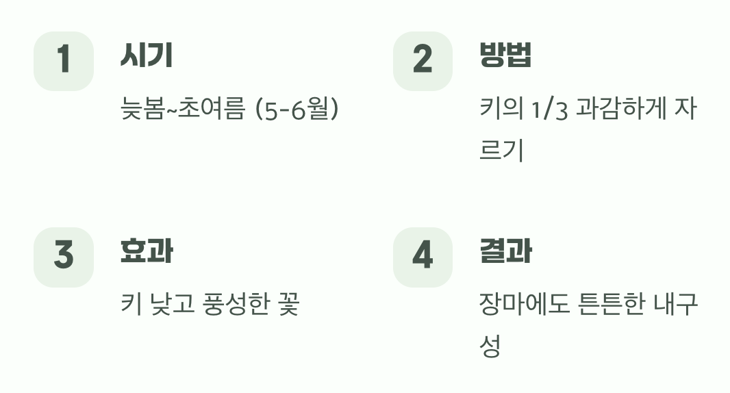 쓰러짐을 막는 마법, 가지치기