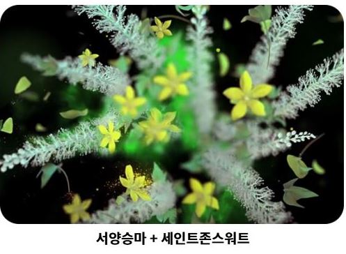 훼라민큐-효과