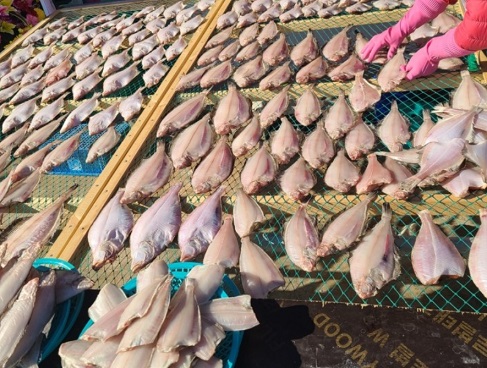6시내고향-울산-정자-반건조-가자미-재원호건어물