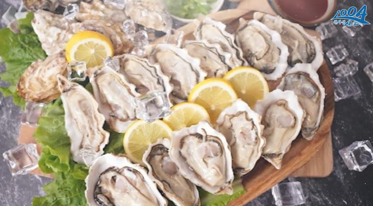 6시내고향 누리집 신안 개체굴 1004굴