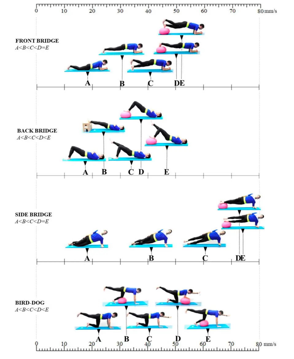 코어 안정화 운동의 과학적 프로그래션: 효과적인 운동 처방 가이드