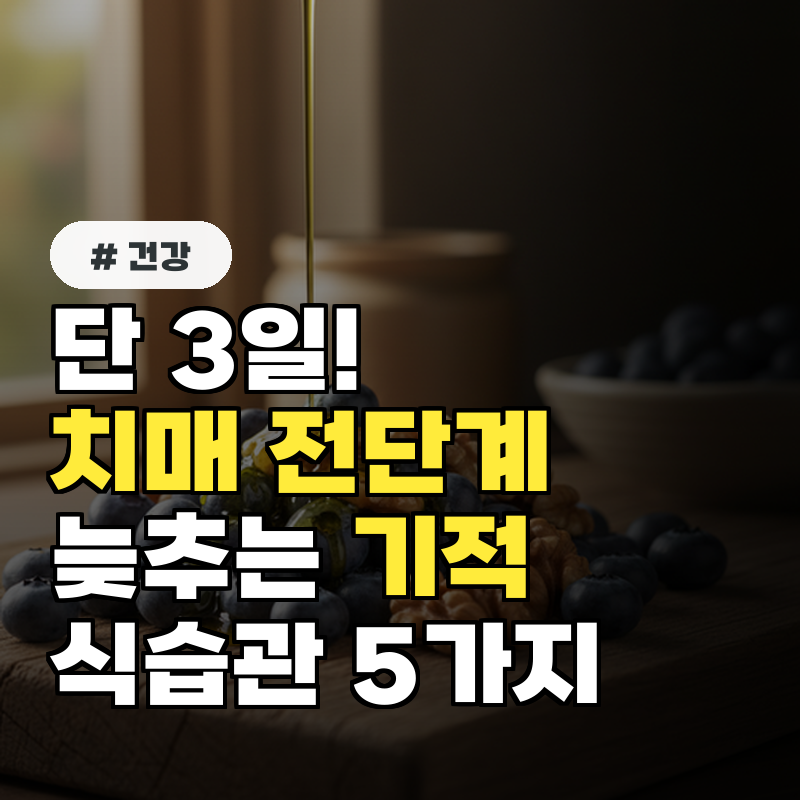 단 3일! 치매 전단계 진행 늦추는 기적의 식습관 5가지