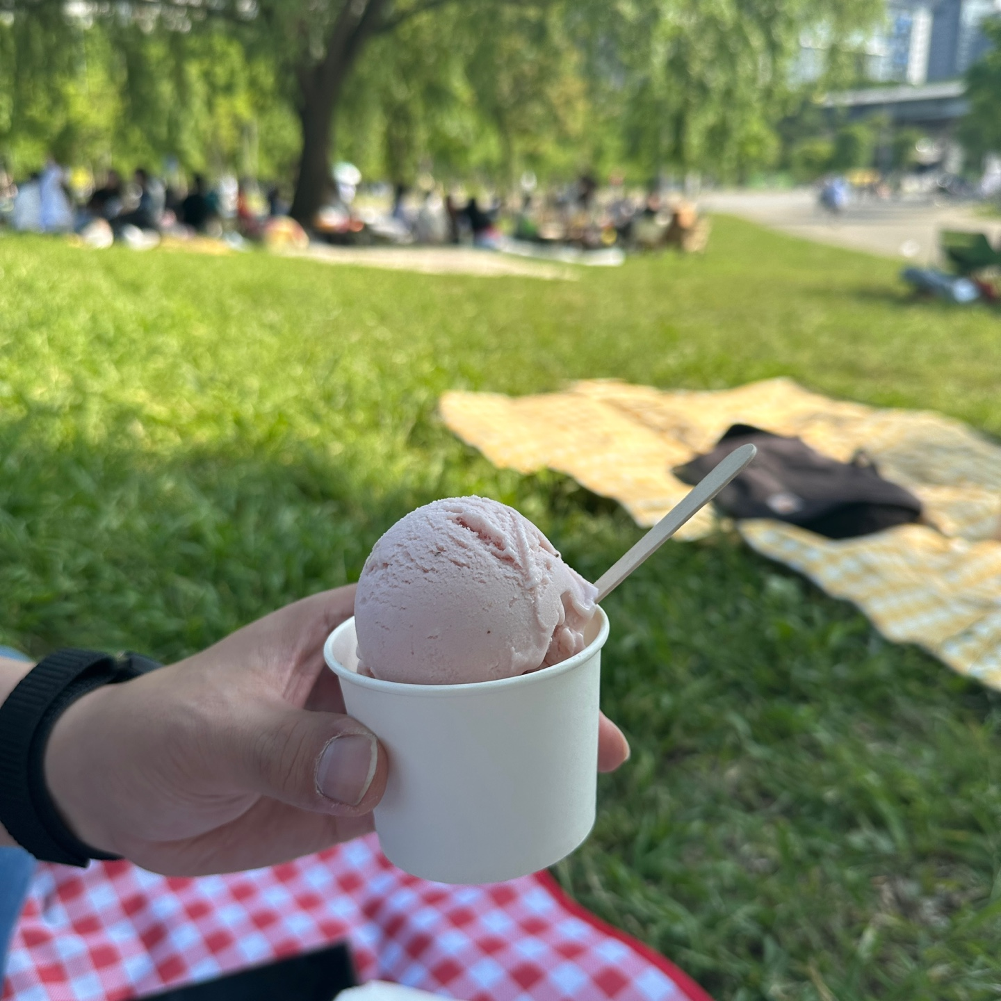 젤라또 아이스크림(5,500원)