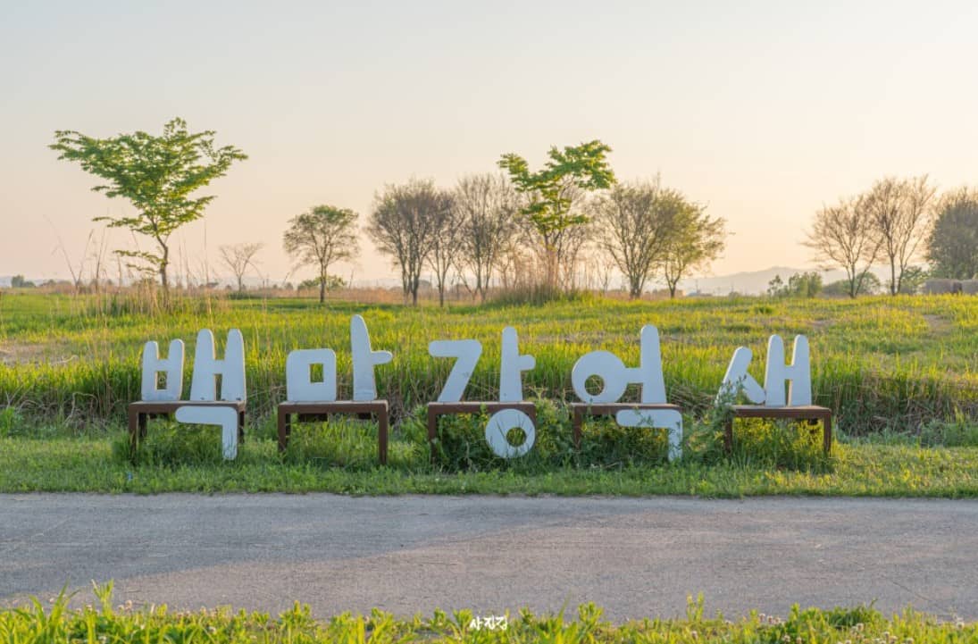 백마강-억새-나래공원