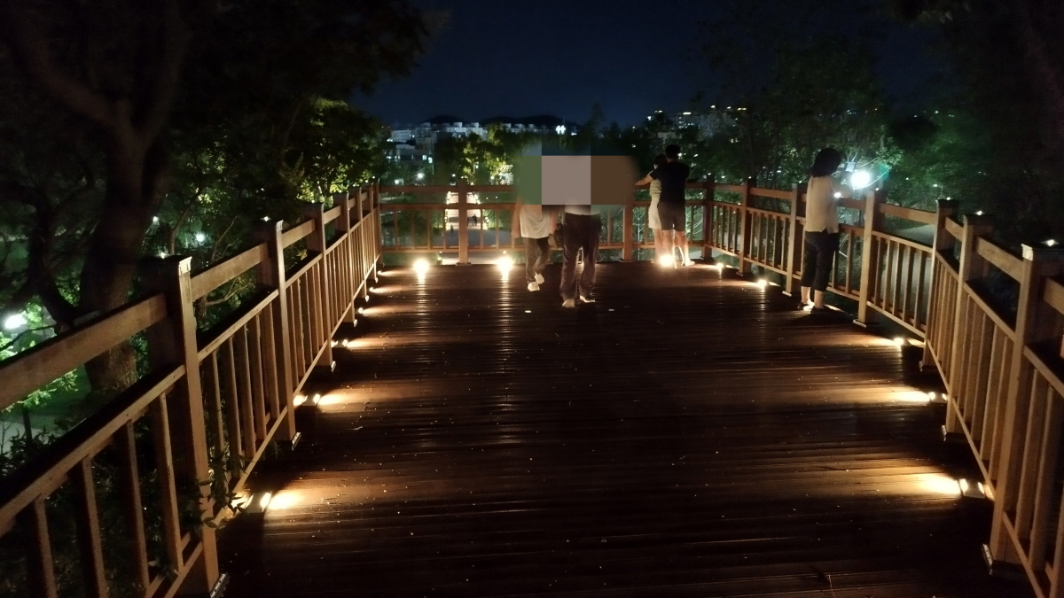 대구 도시숲 전망대