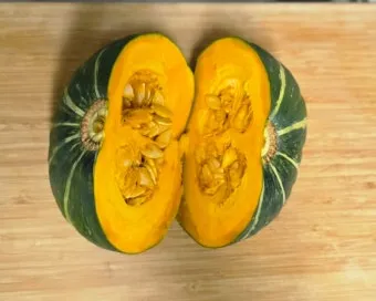 단호박 수확시기와 따는 방법 지역별로 쉽게 알아보는 정보_10