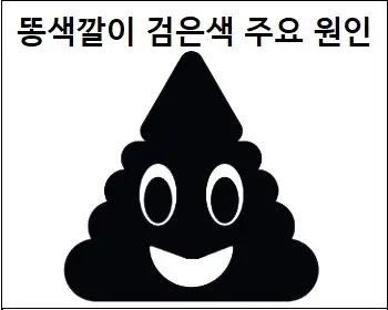 똥색깔이 검은색 주요 원인