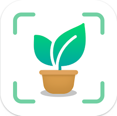 식물이름 찾기 어플, 핸드폰 식물사진으로 검색하고 식물식별 이름 찾기