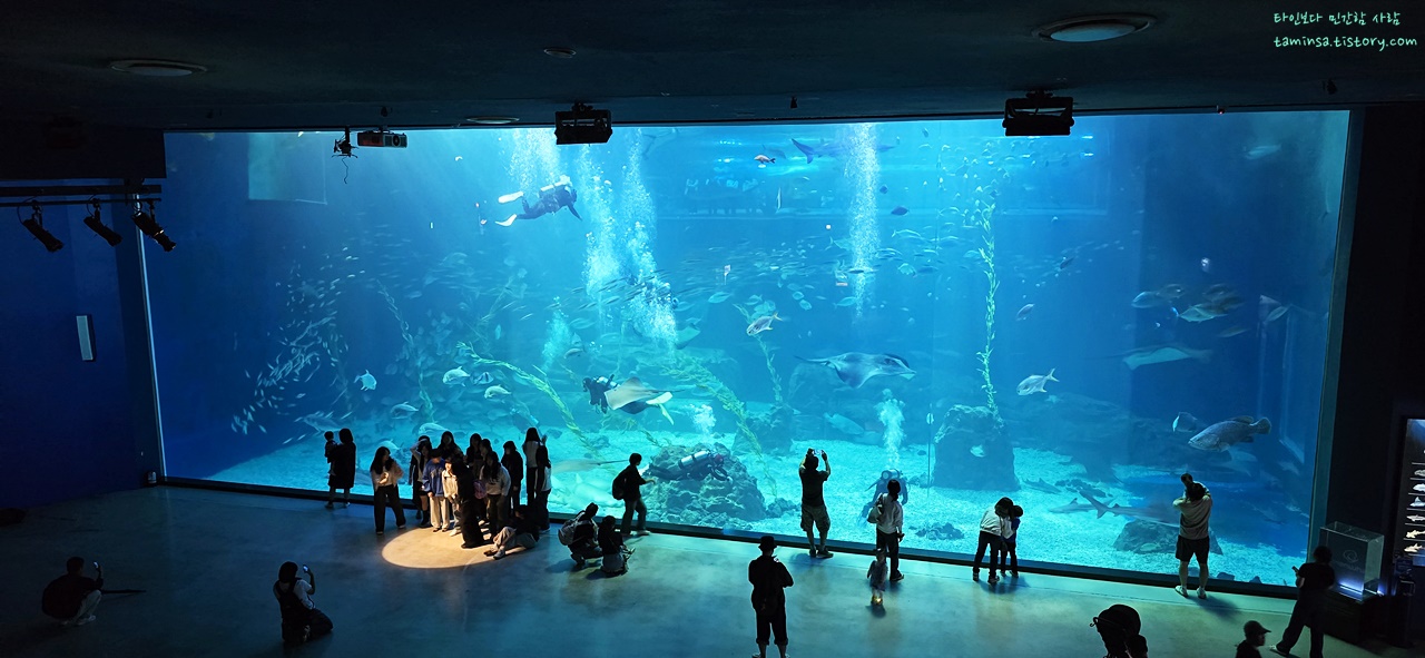 제주동부여행코스추천