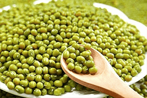 녹두 효능08