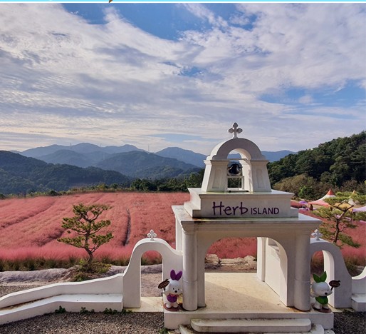 허브아일랜드 핑크뮬리