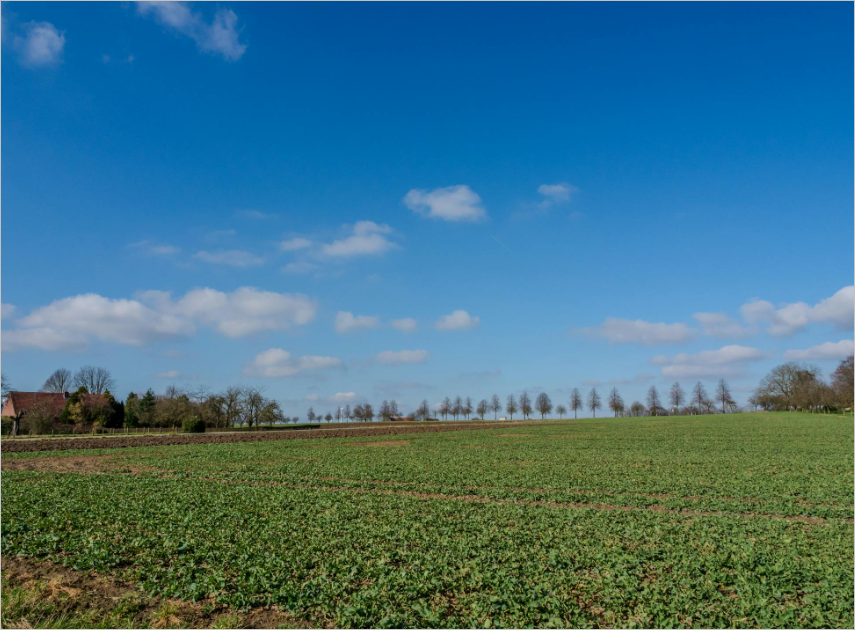 건축물대장 발급 방법, 온라인으로 5분 만에 발급 가능한 가장 쉬운 방법