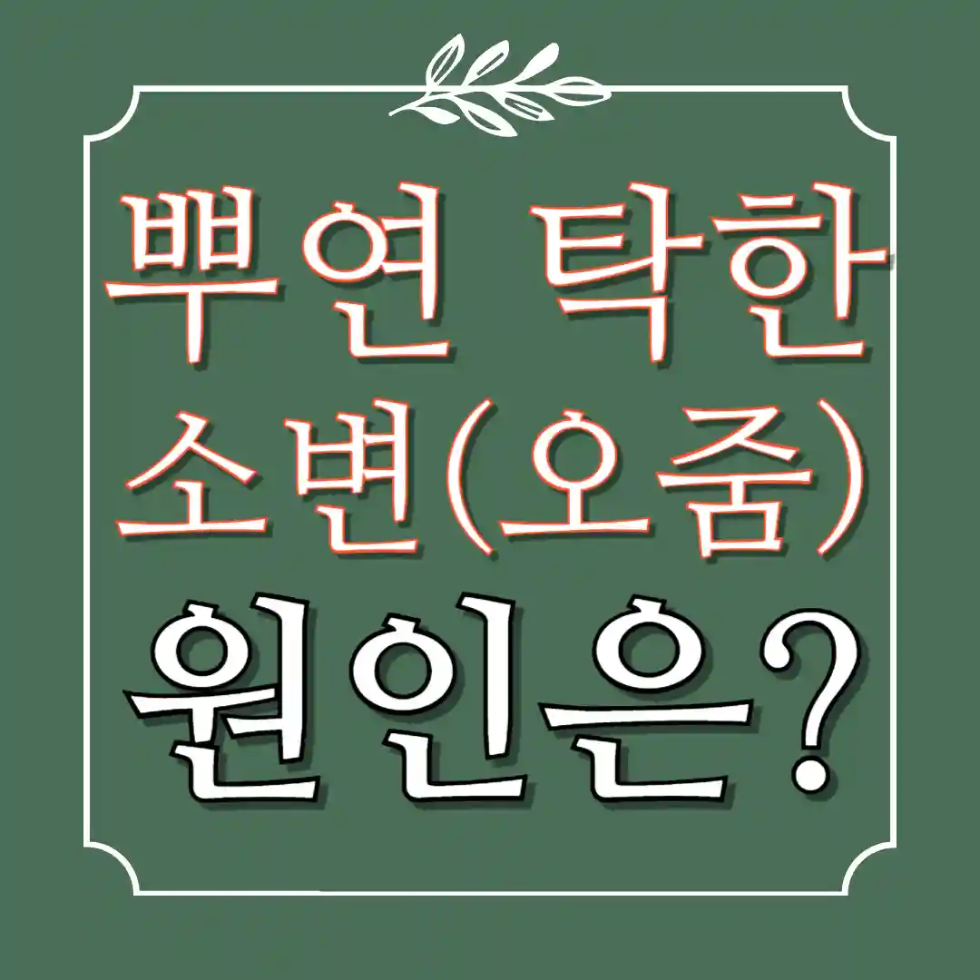 뿌연 소변 탁한 오줌 소변색이 뿌연이유 원인