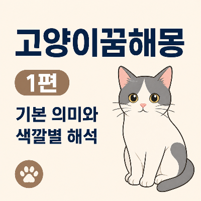 고양이꿈해몽 1편 기본 의미와 색깔별 해석을 소개하는 귀여운 고양이 일러스트 썸네일