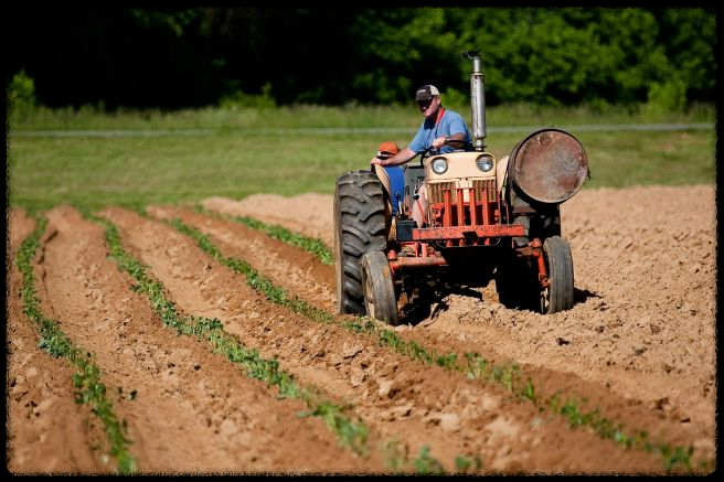 2025년 직불금 신청 방법 완벽 가이드! 신청기간부터 자격까지 총정리