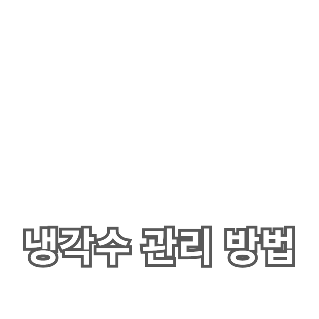 자동차 냉각수 관리 방법: 점검, 교환, 과열 방지