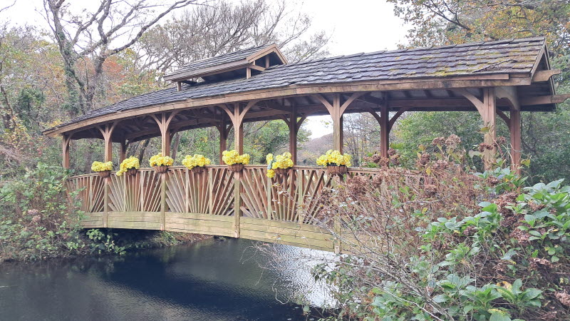 제주여행_에코랜드