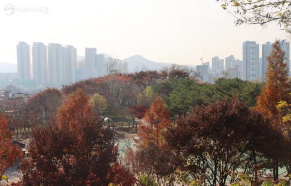독산배수지 상부 공원에서 본 서울 시내 ⓒ조송연