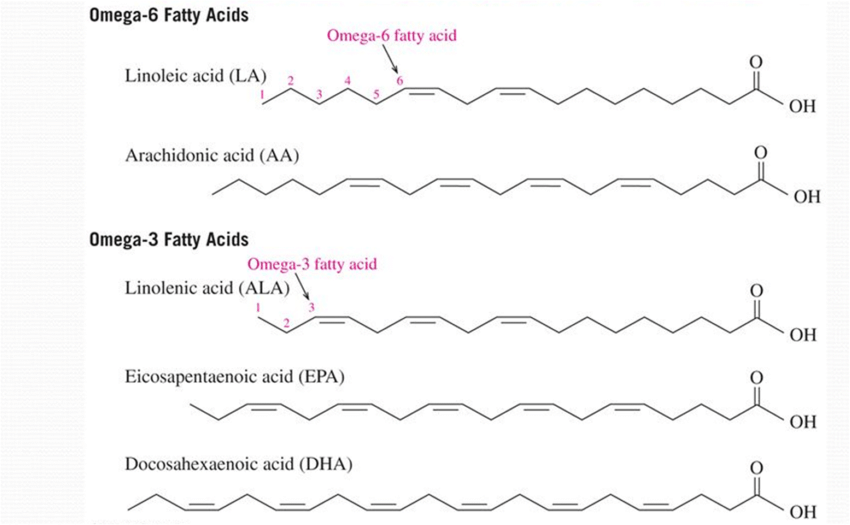 오메가3,-오메가6-지방산