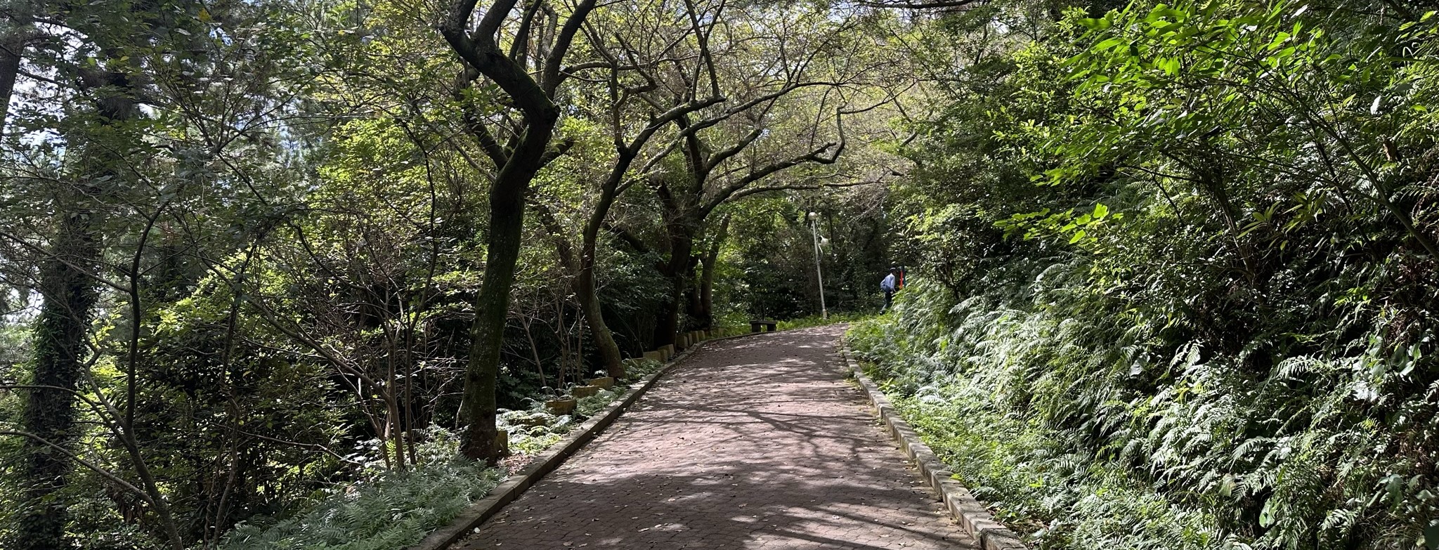 사라봉 산책로