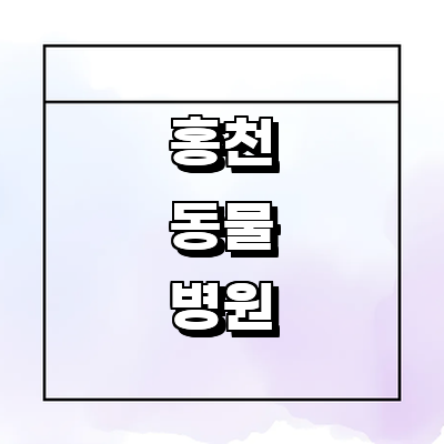 홍천군 동물병원