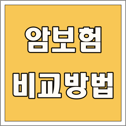 암보험 비교 방법 글씨 썸네일