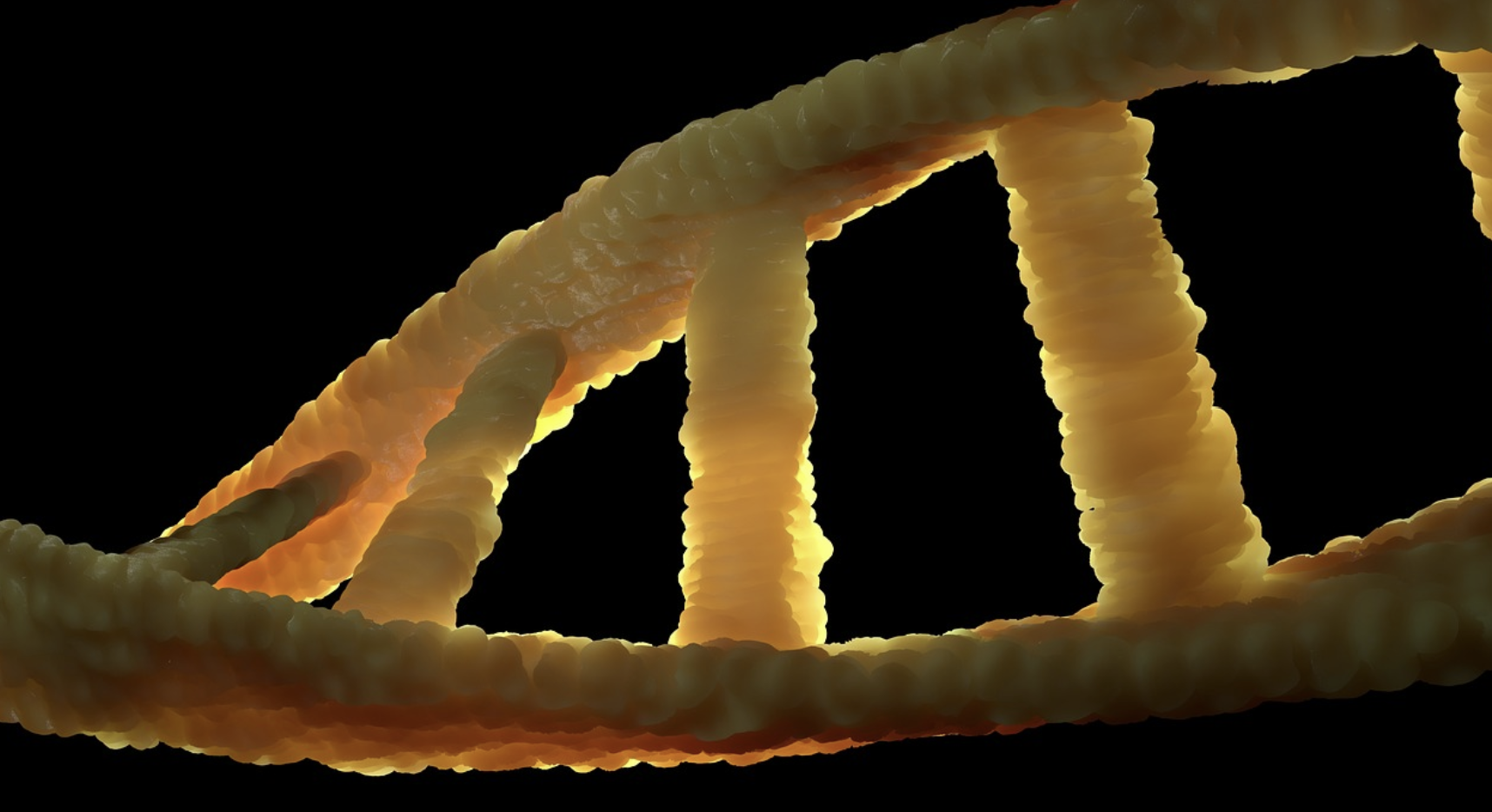 마이크로바이옴과 정신 건강의 연결성: 최신 연구와 개선 방법