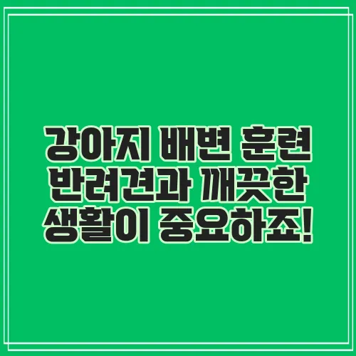강아지 배변 훈련 반려견과 깨끗한 생활이 중요하죠!