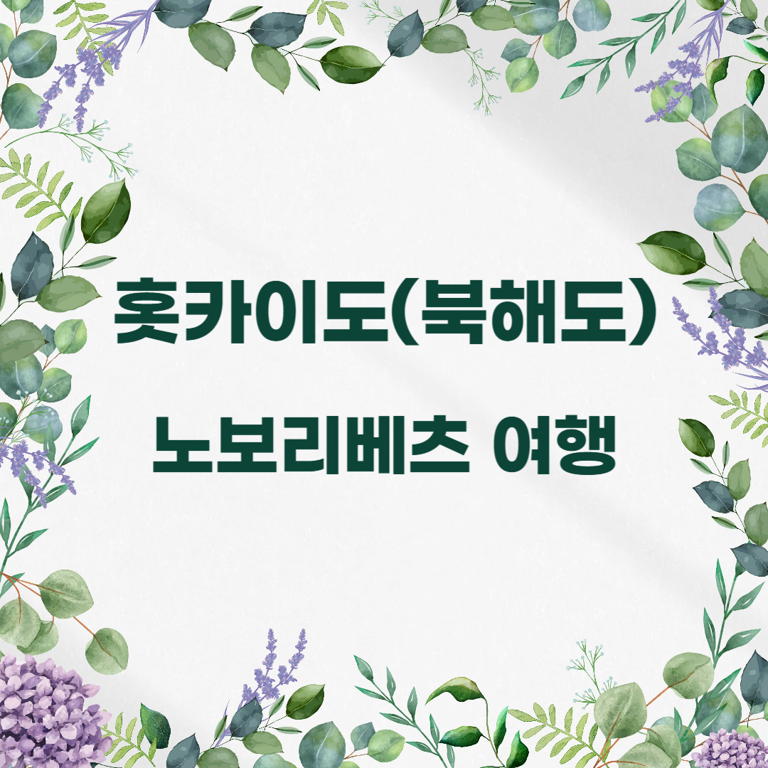 홋카이도 북해도 자유여행 노브리베츠
