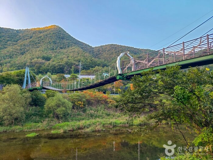 평창 가볼만한곳 베스트 10