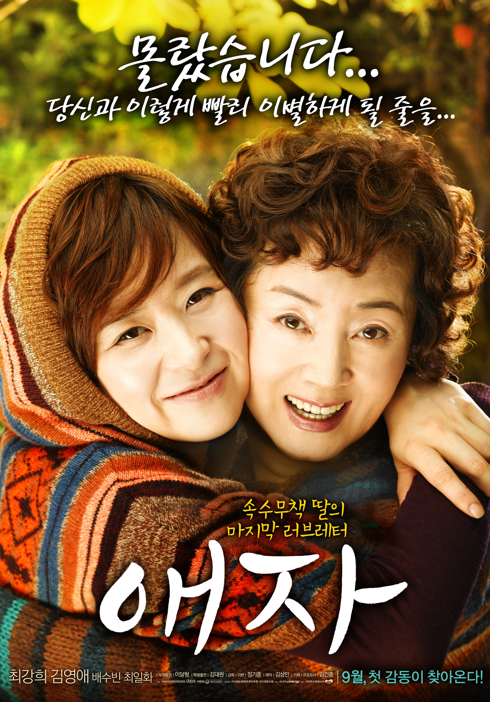 슬픈 한국영화 다시보기 추천 - 님아그강을건너지마오, 세상에서가장아름다운이별, 친정엄마, 우리들의행복한시간, 내머리속의지우개, 내사랑내곁에, 애자