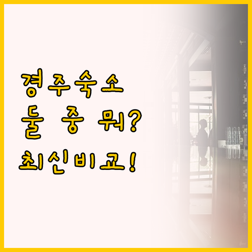경주 숙소 고민 끝 디바인 미니 호텔..
