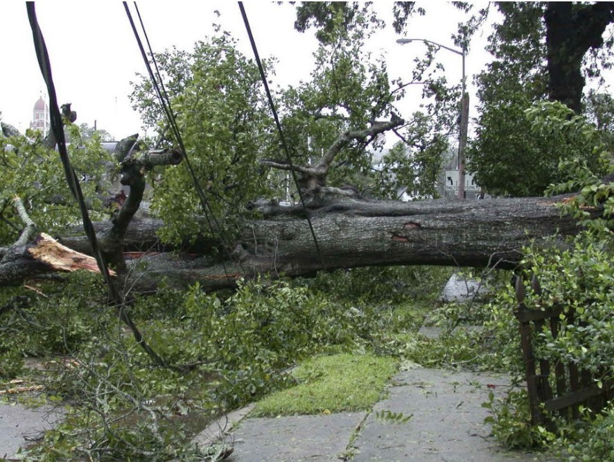 태풍경로 현재위치