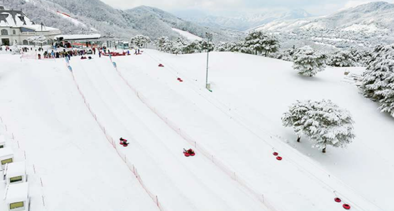 스노위랜드 비발디파크 눈썰매장