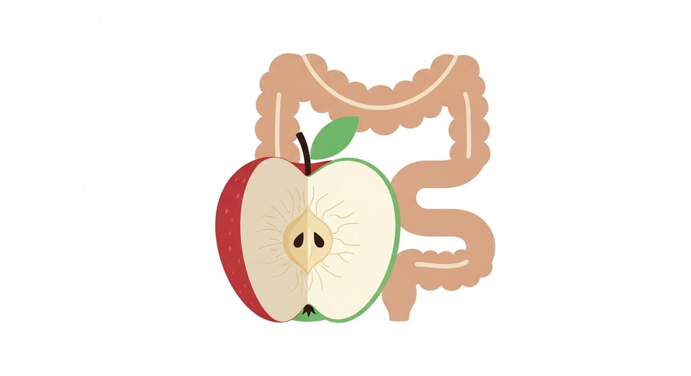 식이섬유 – 장 건강과 포만감을 책임지는 핵심 요소