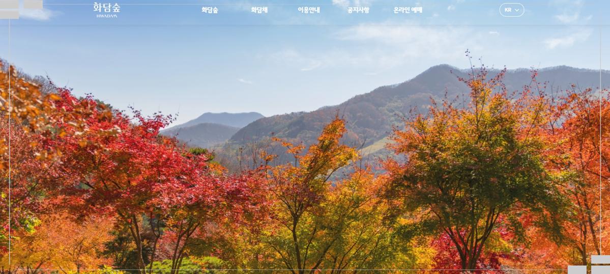 부산에서 화담숲까지, 당일치기 완벽 코스 공개