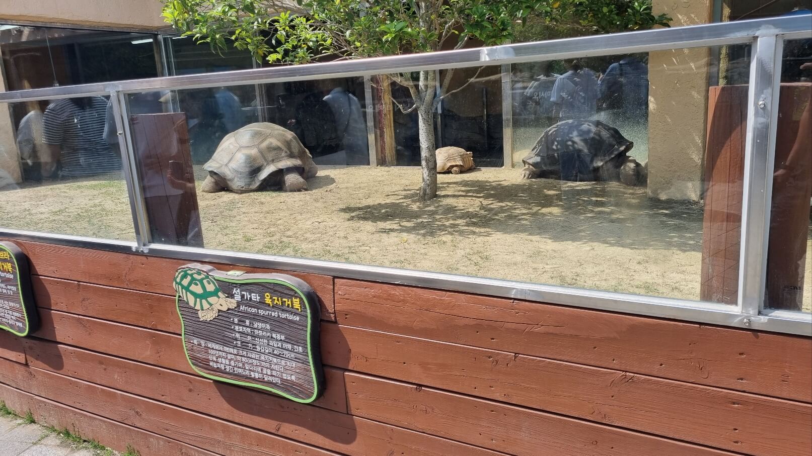 순천만국가정원 서문 동물원