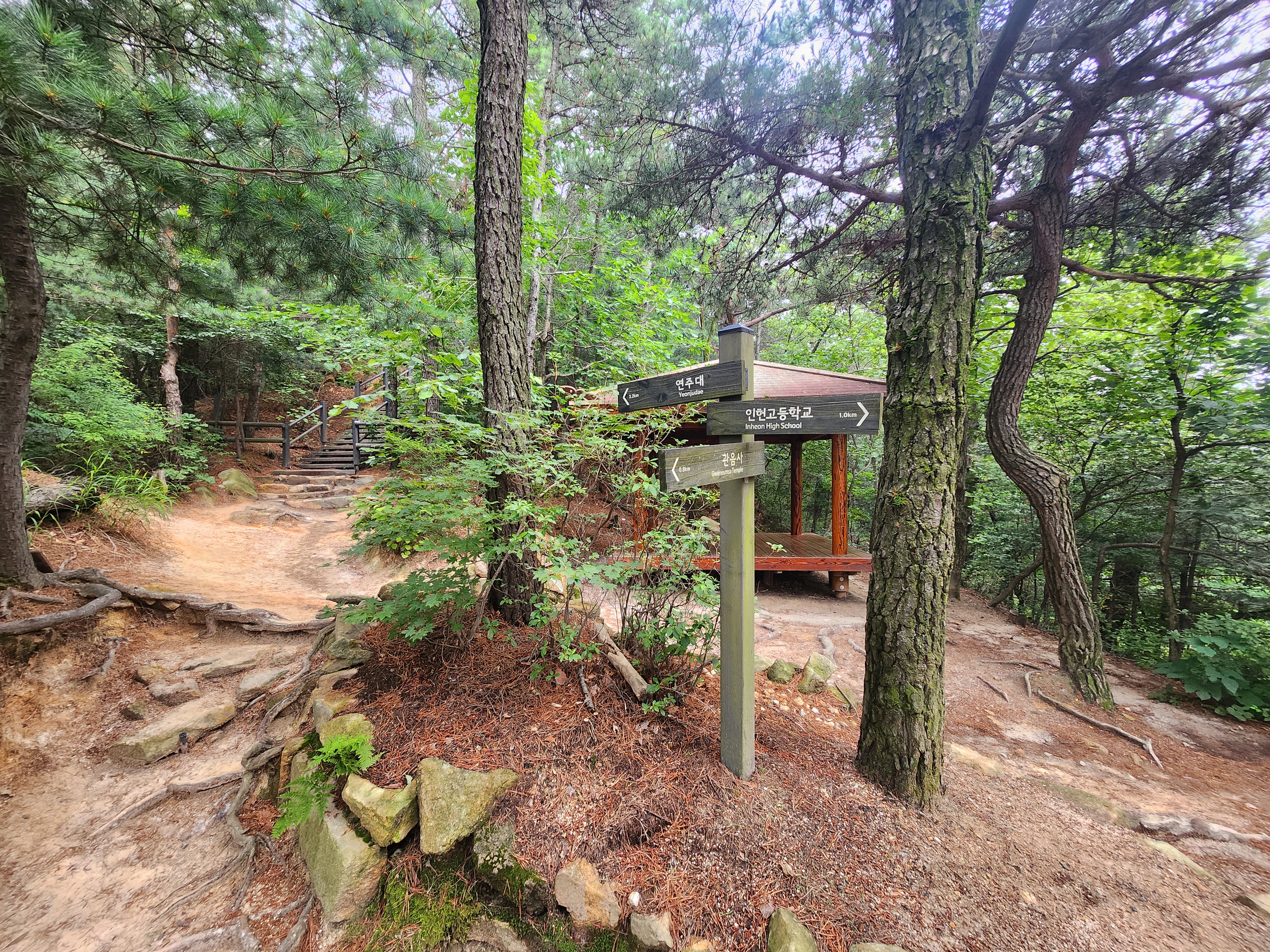 관악산 (21)
