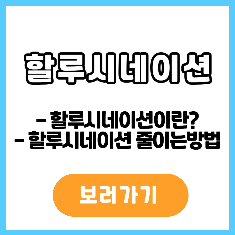 할루시네이션 뜻