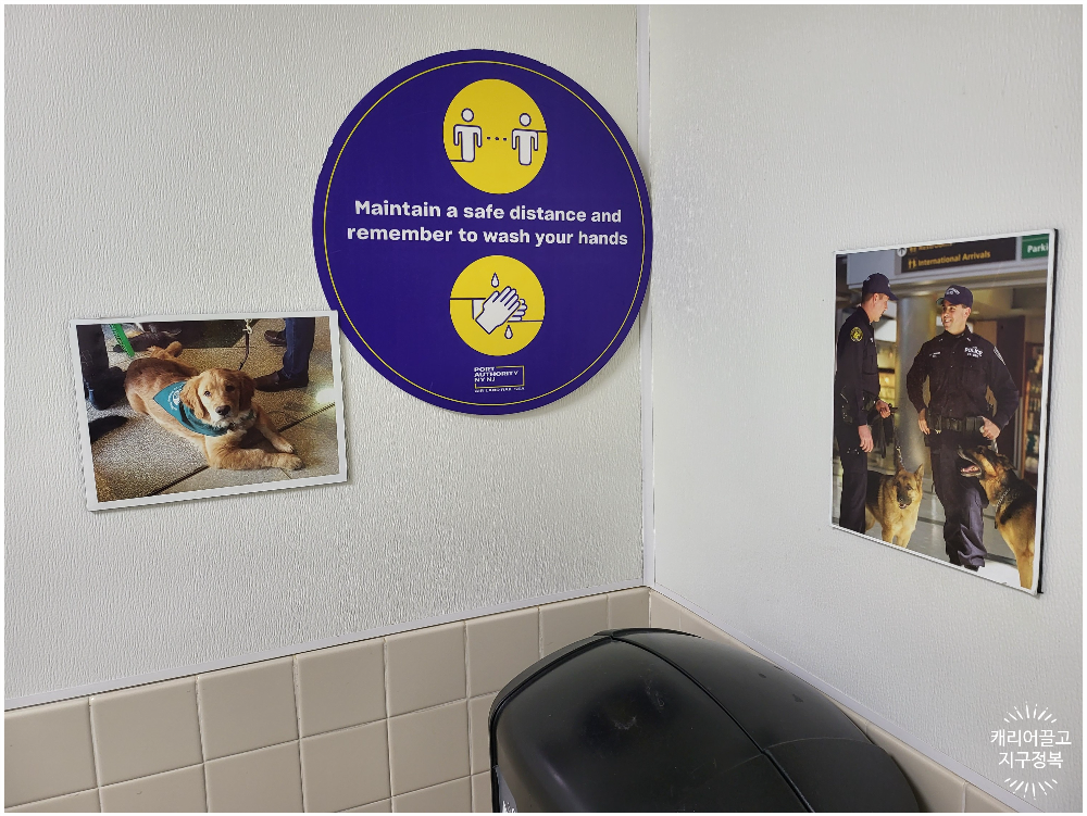 뉴욕 뉴왁공항 에어 프레미아 체크인 카운터 위치