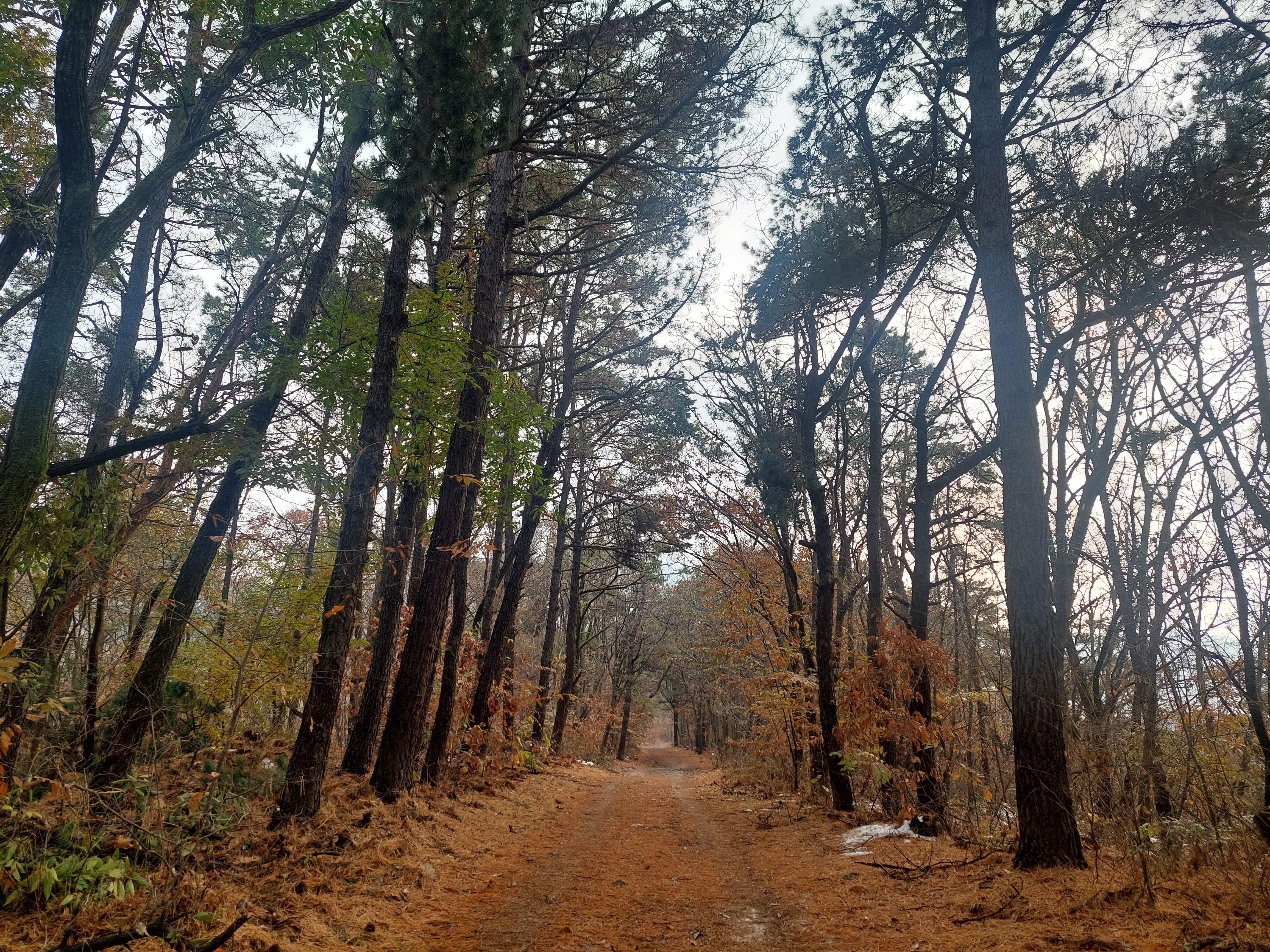검단산