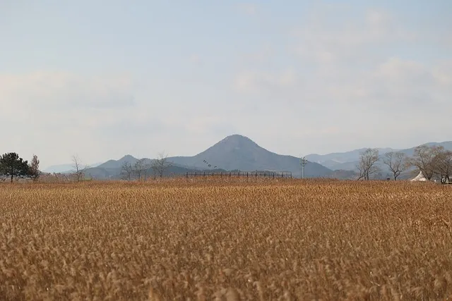 순천역 ktx 기차시간표 요금표 예매_1