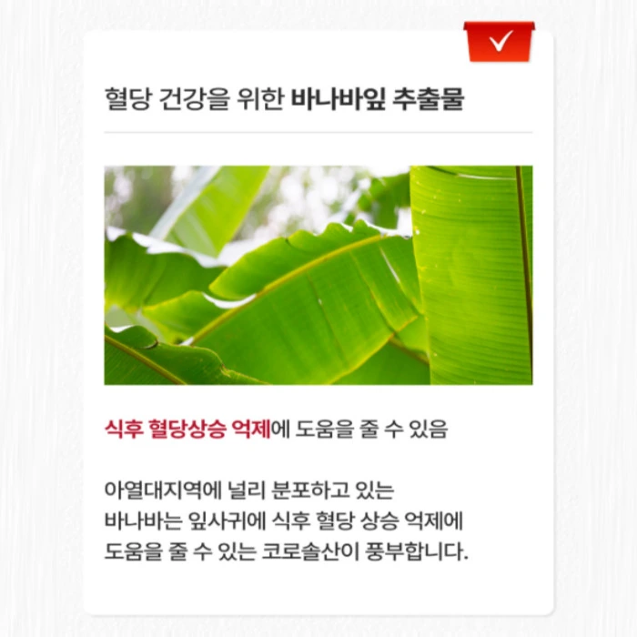 에너씨슬 플래티넘 내돈내산 후기 부작용 효과 가격 복용법 성분 효능