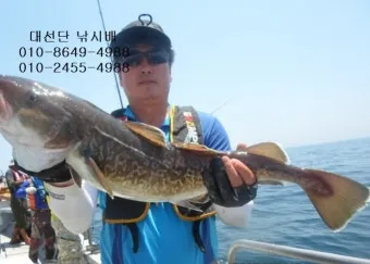 5월 동해 바다낚시 최고 추천 어종과 인기 포인트 완벽 총정리_26