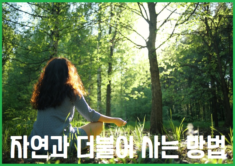 자연과 더불어 사는 방법