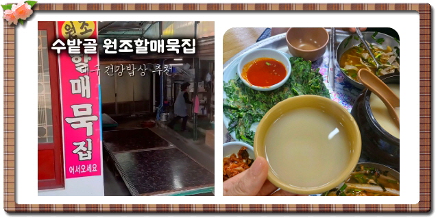 전현무계획2 대구 메밀묵채 메밀묵밥 정구지찌짐 후기