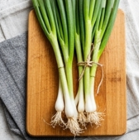 김장 쪽파 심는 시기