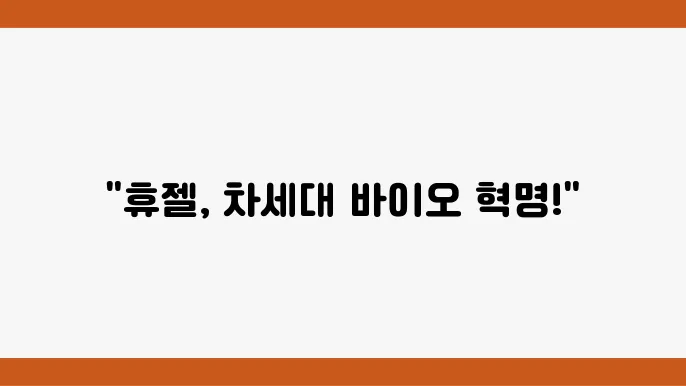 휴젤 주주한 정보 바이오 의약품 관련주 주식정보
