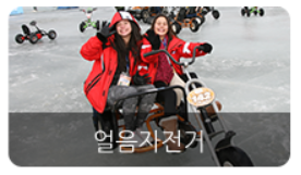 평창송어축제-비용