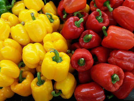 피망의 섬유질과 소화 건강: 장 건강의 필수 파트너